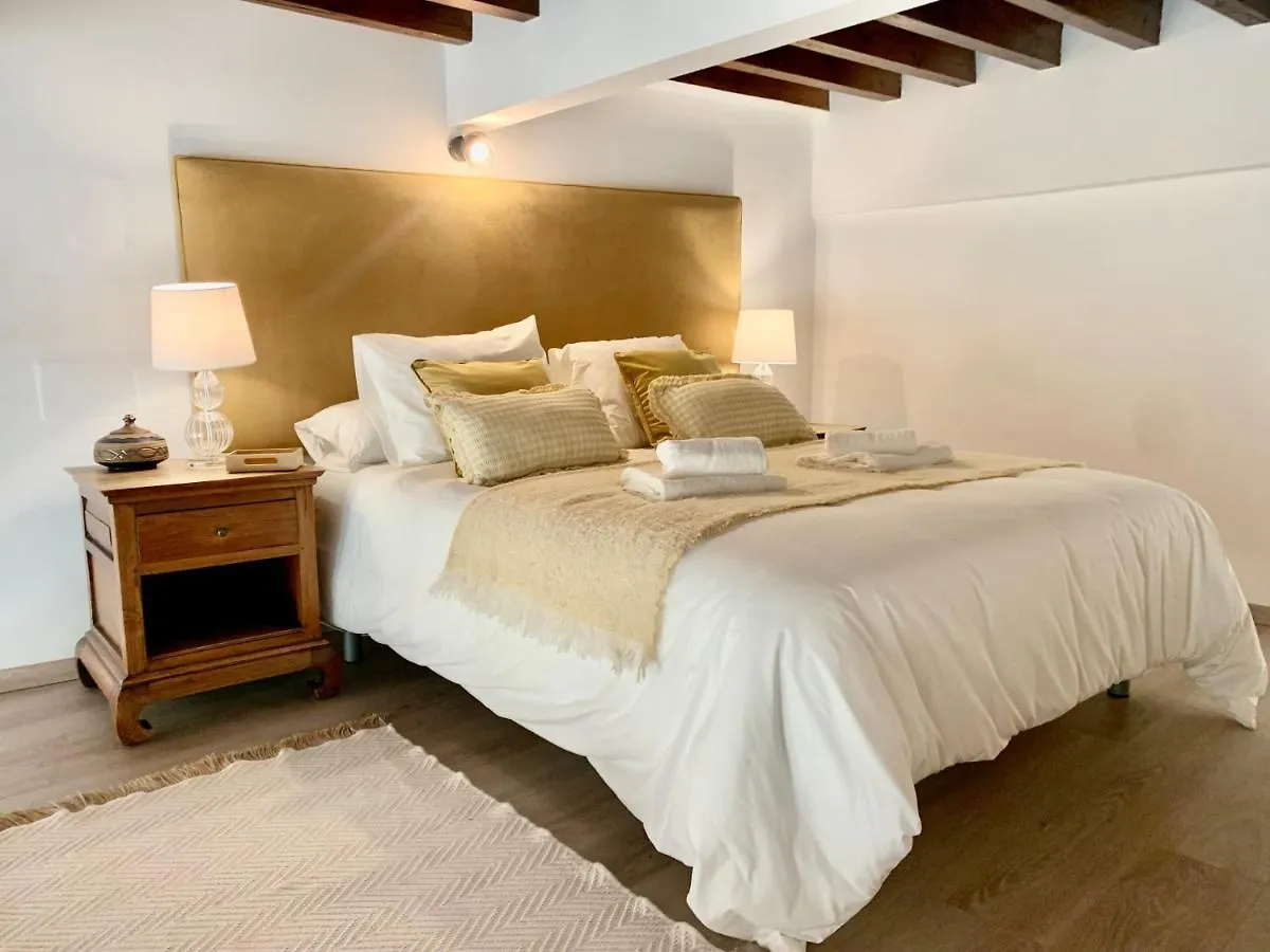Homely Malaga Loft Especerias Spanje