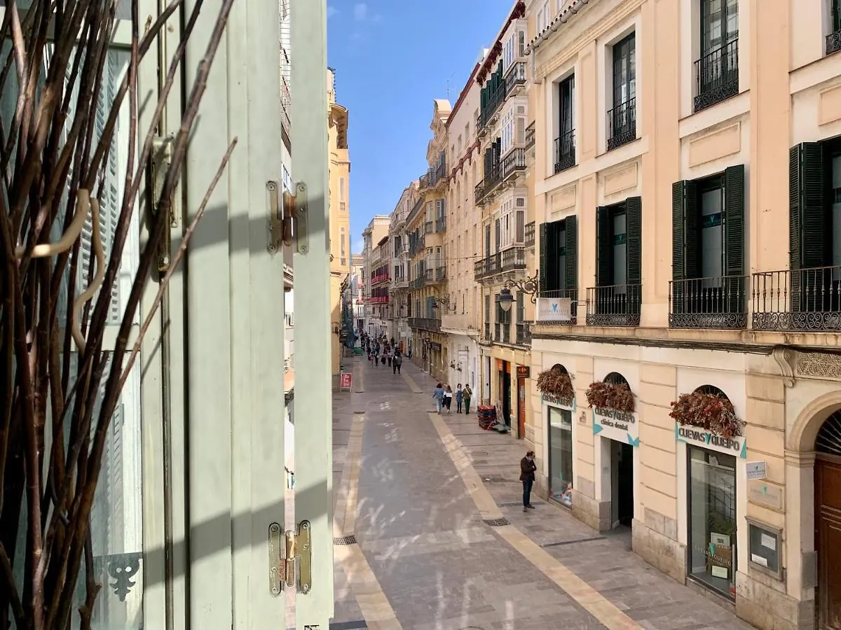 Homely Malaga Loft Especerias 0*,